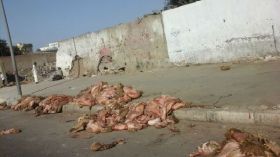 “كوكوشانيل” و”دوارة” العيد!