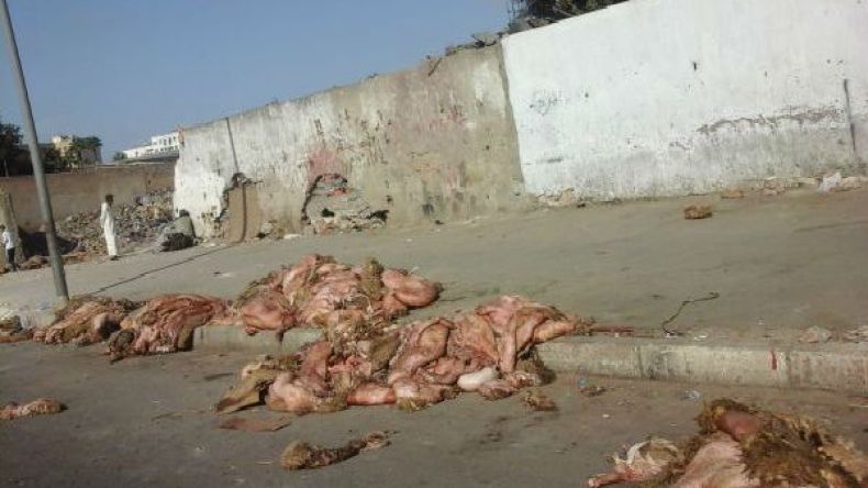 “كوكوشانيل” و”دوارة” العيد!