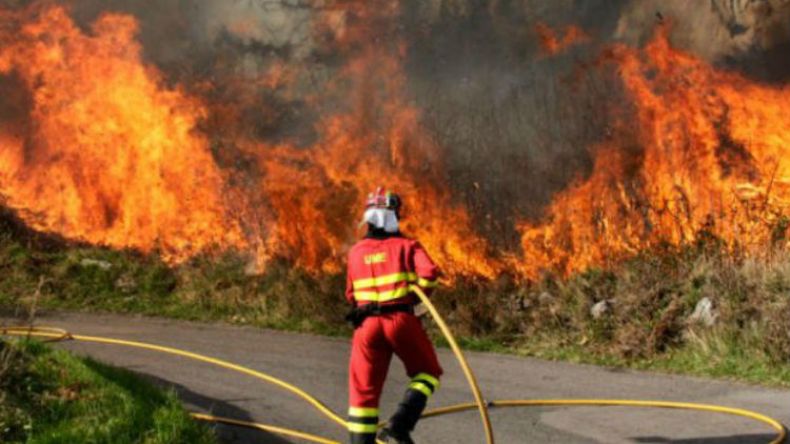 إخماد 51 حريقا في غابات روسيا التهمت مساحة تجاوزت الـ13 ألف هكتار
