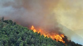 منذ بداية الصيف.. هذا ما تسببت به موجة الحرائق