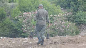 مهربون يطلقون النار على أعوان الغابات بخنشلة!