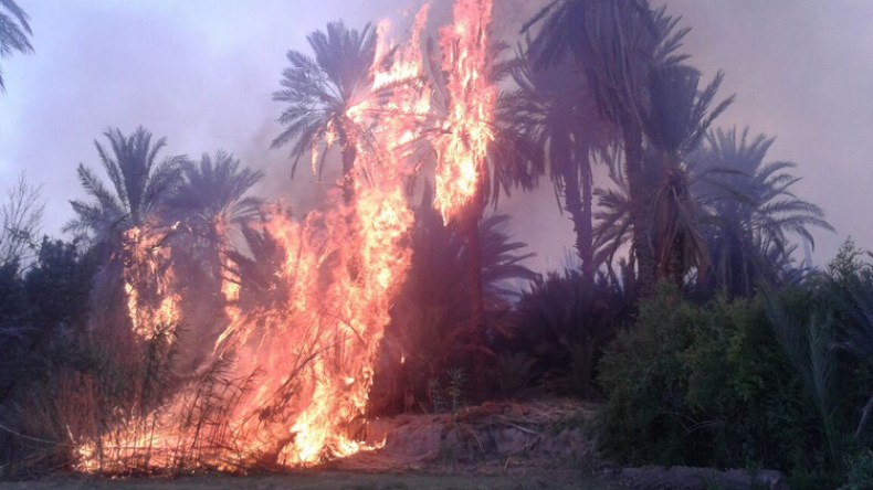 اتلاف 90 نخلة في حريق مهول بقرية اقسطن بعين صالح