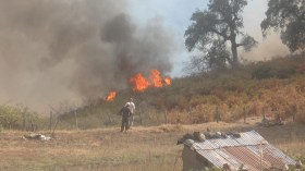 16 مليون جزائري يتمركزون في 17 ولاية مهددة بالحرائق