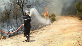 النيران تلتهم هكتارات من الأراضي الفلاحية بتيبازة