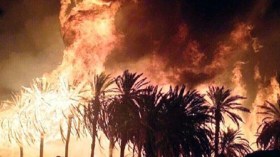 الحرائق تقضي على 200 نخلة مثمرة بأدرار