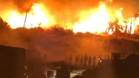 حريق يلتهم مساحات واسعة في مصر