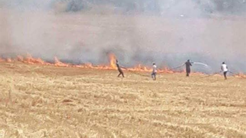 الحرائق تلتهم 116 هكتار من الحبوب بقسنطينة