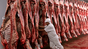 لحوم أوروبية “حلال” على موائد الجزائريين في رمضان!