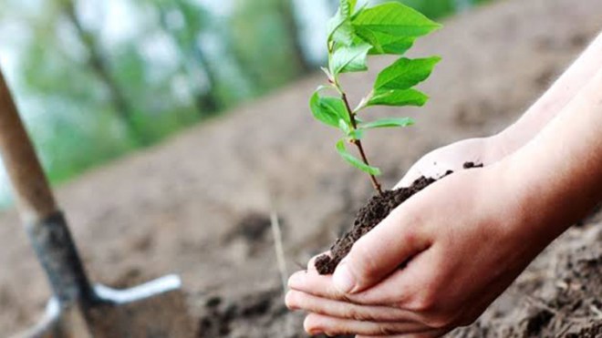 مديرية الغابات للعاصمة تفتح مجال الاستثمار للشباب في الغطاء الأخضر