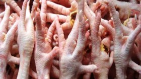 حجز 21 قنطارا من أرجل الدجاج المتعفن و30.000 بيضة فاسدة بباتنة