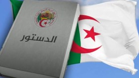 فنيش: الدستور الجديد يطبق المادتين 7 و8 واقعا وليس قولا