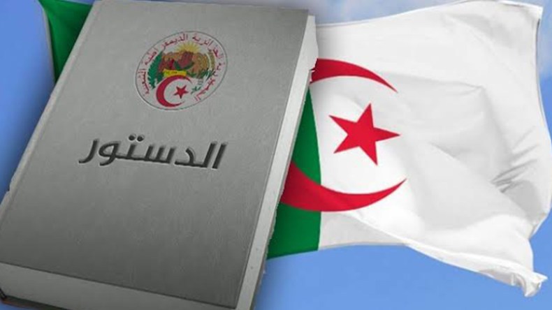 فنيش: الدستور الجديد يطبق المادتين 7 و8 واقعا وليس قولا