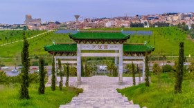 تدعيم العاصمة بـ5 غابات ترفيهية وأشجار بالطرقات ومساحات خضراء