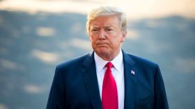 جسم الفيل وحلم العصافير