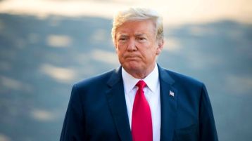 جسم الفيل وحلم العصافير