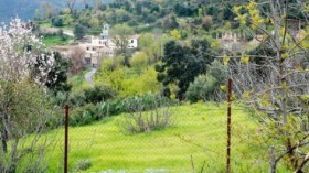 جزائريون ينزحون إلى الريف هربا من كورونا