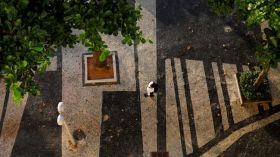 سكان المدن الخضراء يعيشون أطول