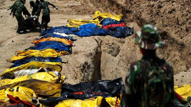 1234 قتيلا و أكثر من 65 ألف منزل متضرر