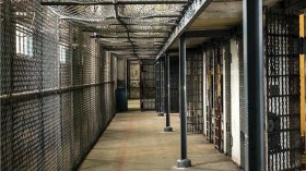 فقط في المعتقلات الصهيونية.. يُعتبر التعذيب “إجراء نظاميا”