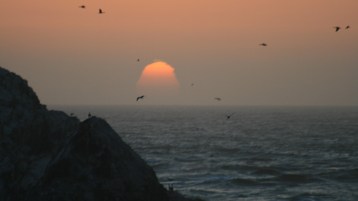 سراب بقيعة يحسبه الظّمآن ماءً