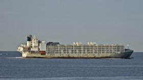 فقدان سفينة إماراتية قبالة اليابان