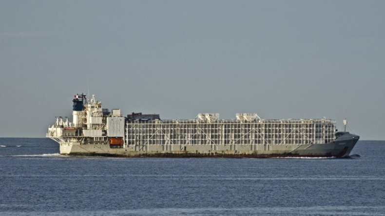 فقدان سفينة إماراتية قبالة اليابان