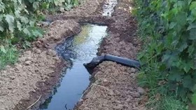 فلاحون يسقون المحاصيل الزراعية بالمياه القذرة في سطيف