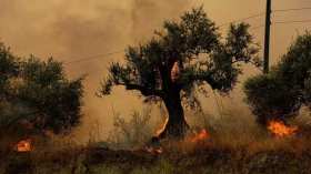 شاهد.. حرائق مستمرة في سوريا