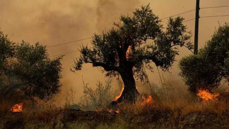 شاهد.. حرائق مستمرة في سوريا