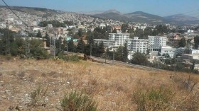 إلغاء 59 قرار استفادة لمستثمرين وهميين بسوق أهراس