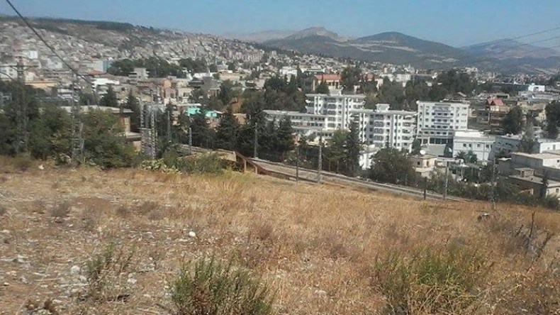 إلغاء 59 قرار استفادة لمستثمرين وهميين بسوق أهراس