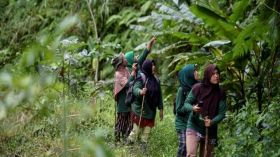 كتيبة نسائية تتولى حراسة أدغال سومطرة!