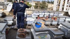 أمن ولاية قسنطينة: تفكيك ورشة غير شرعية لتربية النحل بسطح عمارة