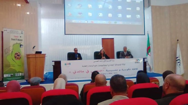 الأمن الغذائي يتحقق عبر ضمان جودة المنتجات المعروضة بالأسواق