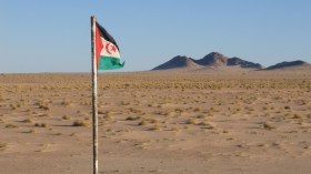 الأمم المتحدة: لم نلحظ أي تصعيد بين المغرب والبوليساريو