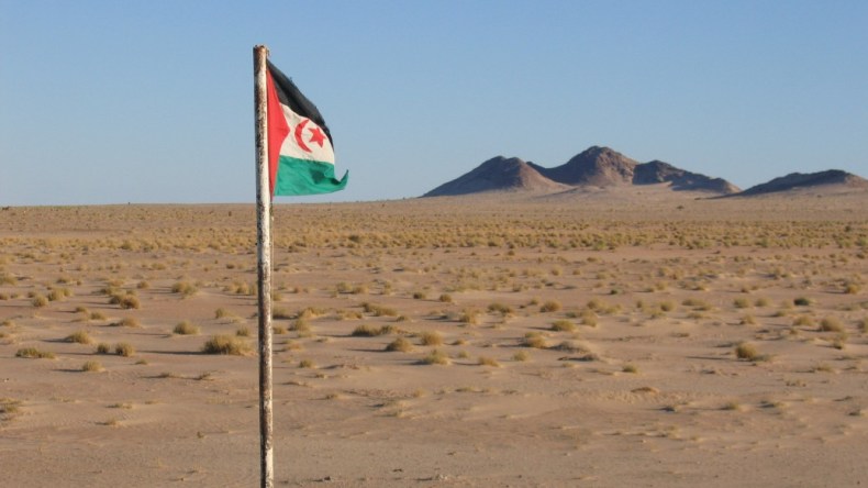 الأمم المتحدة: لم نلحظ أي تصعيد بين المغرب والبوليساريو