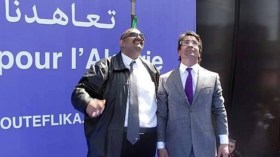 سقوط آخر أوراق التوت