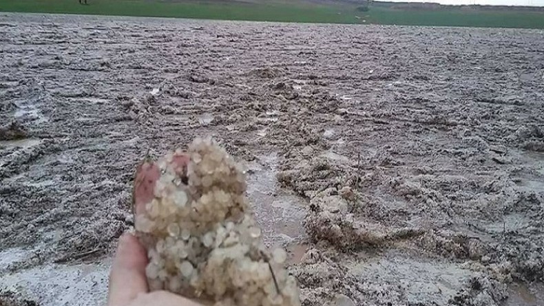 لحظات عصيبة عاشتها هذه العائلة بباتنة