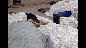 خطأ كارثي من عامل صيني يدمر إنتاج مصنعه (فيديو)