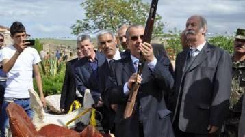 من والي إلى وليّ