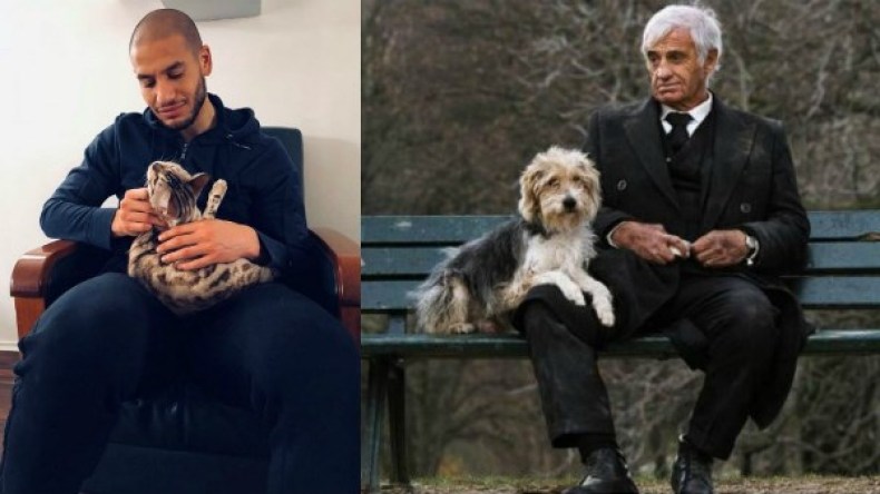 “قديورة” يستأنس بِالقطط في “خريف” المشوار الكروي الدولي