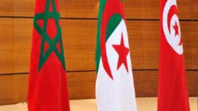 الجزائر والمغرب وتونس، تريد تقديم ملف مشترك لاحتضان مونديال 2030