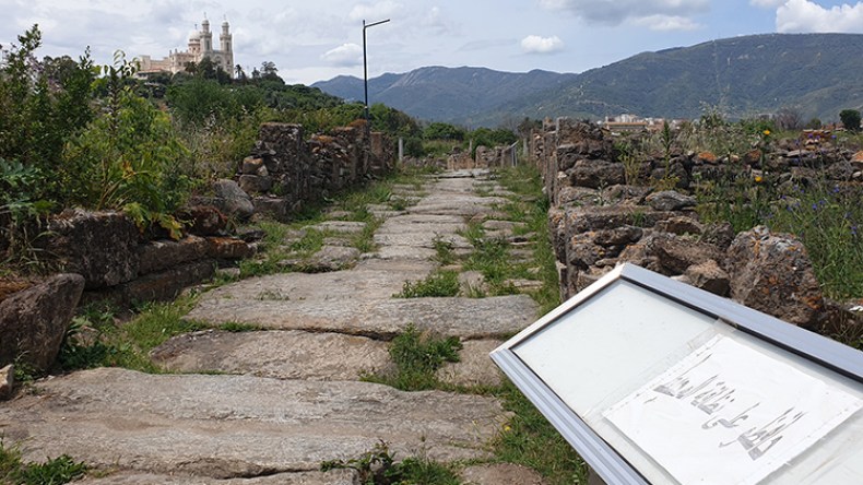 جمالية خالدة تزين كتب الآثار