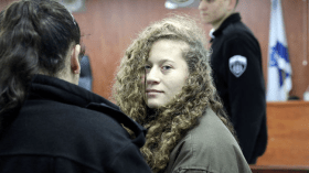 مليون فلسطيني مرّوا بتجربة الاعتقال في سجون الصهاينة