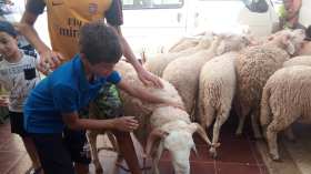 عيد الأضحى شعيرة ومناسك وأفراح