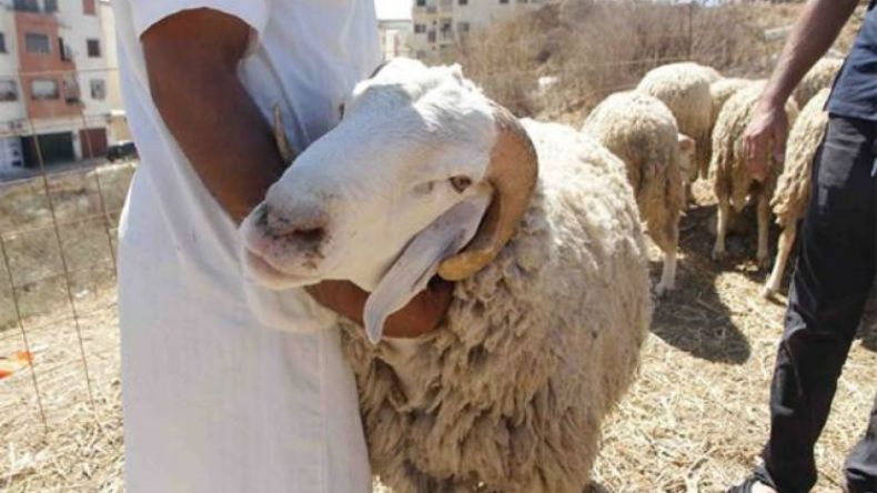 هاجس كورونا وأزمة الماء يخيّمان على عيد الأضحى