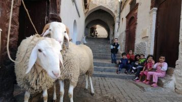 عندما تتغلب التقاليد على الشعيرة