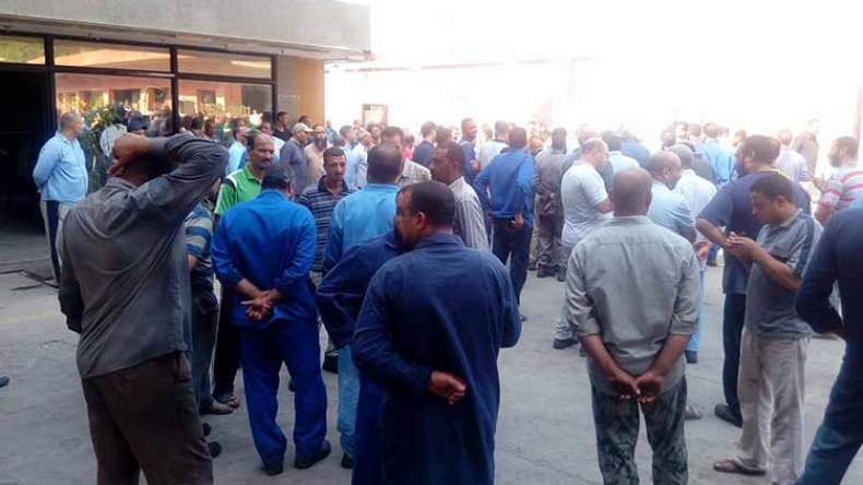 عمال وموظفو الوكالة العقارية بعين الدفلى في وقفة احتجاجية