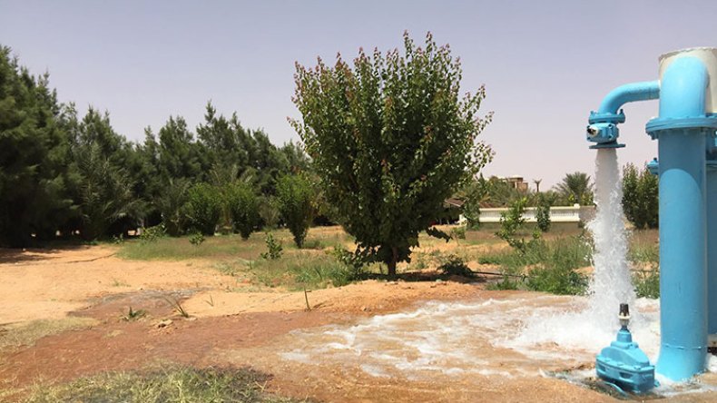 العطش يهدد المستثمرات الفلاحية بمنطقة السودان في بريان