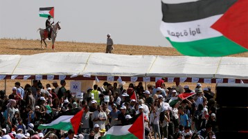 الوحدة شرط الإنتصار